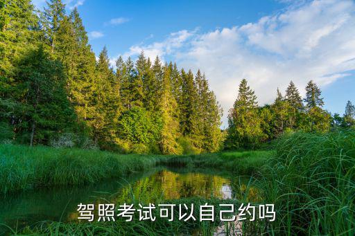 駕照考試可以自己約嗎