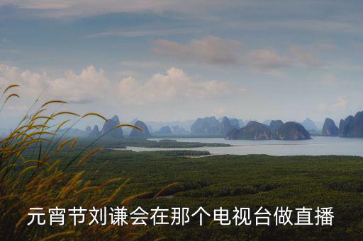 元宵節直播，元宵節劉謙會在那個電視臺做直播