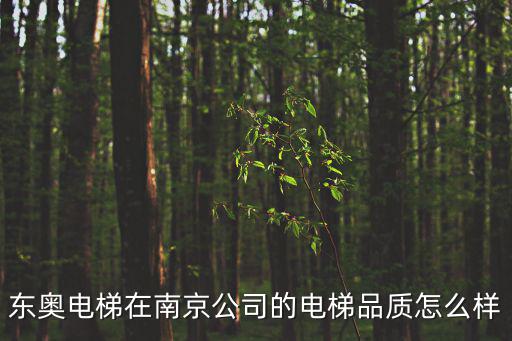 南京電梯公司，江蘇省的電梯股份有限公司有哪些