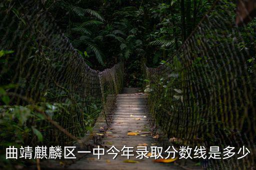 一中分數線，曲靖麒麟區一中今年錄取分數線是多少