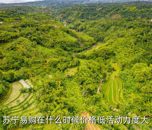 蘇寧電器促銷活動，蘇寧易購在什么時候價格低活動力度大