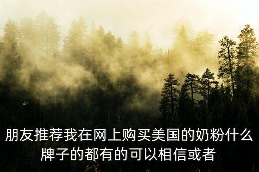 朋友推薦我在網(wǎng)上購(gòu)買美國(guó)的奶粉什么牌子的都有的可以相信或者