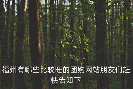 福州團購，福州有哪些比較旺的團購網站朋友們趕快告知下