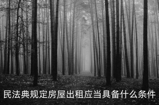 民法典規定房屋出租應當具備什么條件