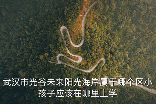 武漢市光谷未來陽光海岸屬于哪個區(qū)小孩子應(yīng)該在哪里上學(xué)