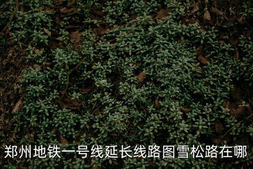 鄭州地鐵一號線延長線路圖雪松路在哪