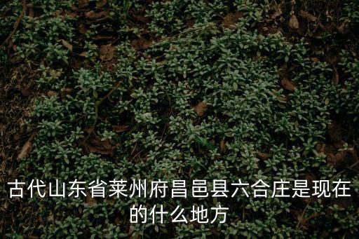古代山東省萊州府昌邑縣六合莊是現在的什么地方