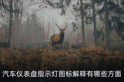 儀表盤指示燈，汽車儀表盤指示燈圖標(biāo)解釋有哪些方面