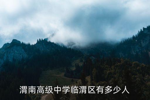 渭南高級中學，渭南高級中學美術班怎么樣好不好