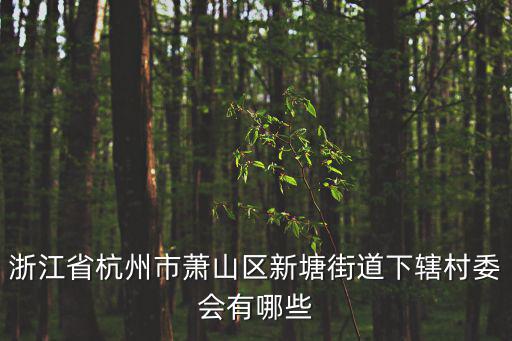 浙江省杭州市蕭山區新塘街道下轄村委會有哪些