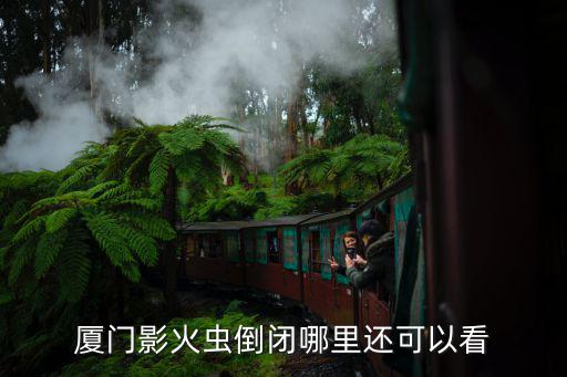 廈門影火蟲倒閉哪里還可以看