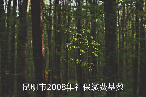 昆明市2008年社保繳費基數