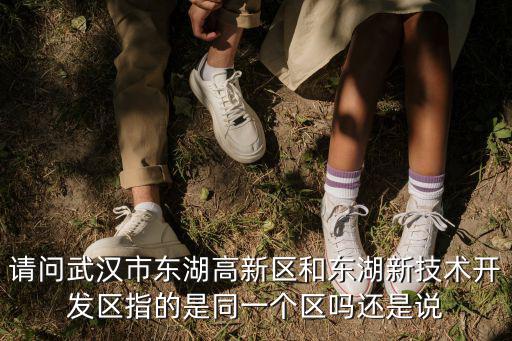 請問武漢市東湖高新區(qū)和東湖新技術(shù)開發(fā)區(qū)指的是同一個區(qū)嗎還是說