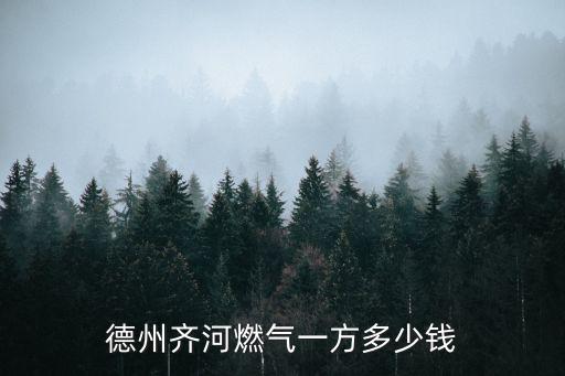天然氣多少錢一方，廣州管道燃?xì)馐嵌嗌馘X一平方