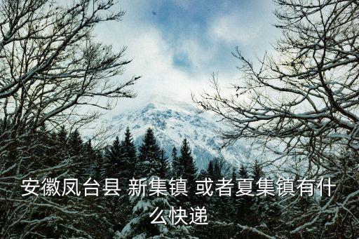 安徽鳳臺縣 新集鎮 或者夏集鎮有什么快遞