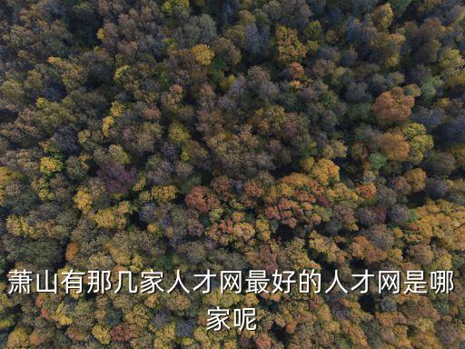 蕭山有那幾家人才網(wǎng)最好的人才網(wǎng)是哪家呢