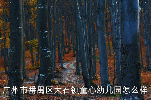 廣州市番禺區大石鎮童心幼兒園怎么樣