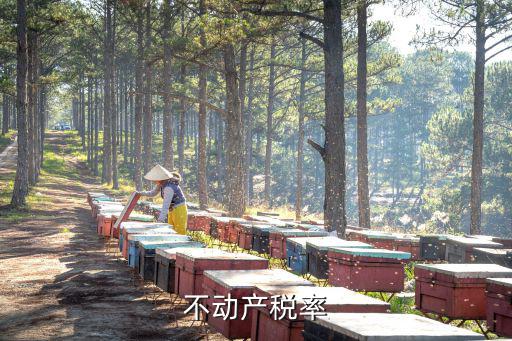 不動產(chǎn)稅率