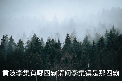 黃陂李集，漢口北客運站坐什么車到黃陂李集