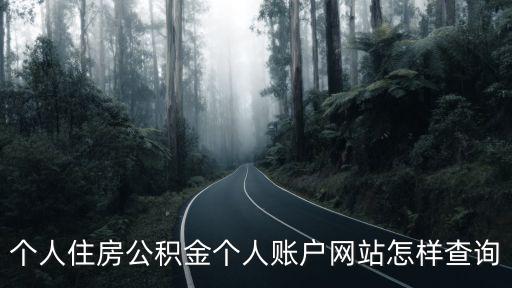 個人住房公積金個人賬戶網站怎樣查詢