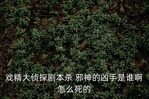 劇本殺實(shí)體店，戲精大偵探劇本殺 邪神的兇手是誰(shuí)啊怎么死的