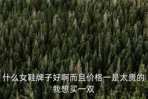 什么女鞋牌子好啊而且價格一是太貴的我想買一雙