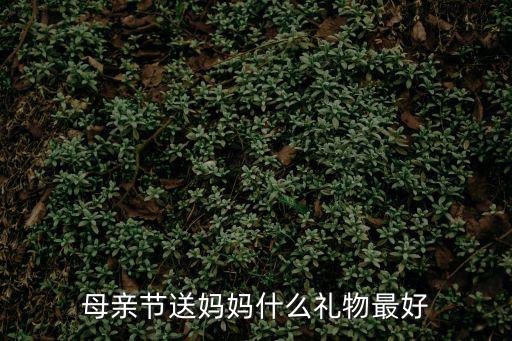 母親節禮物排行榜，母親節十大禮物推薦