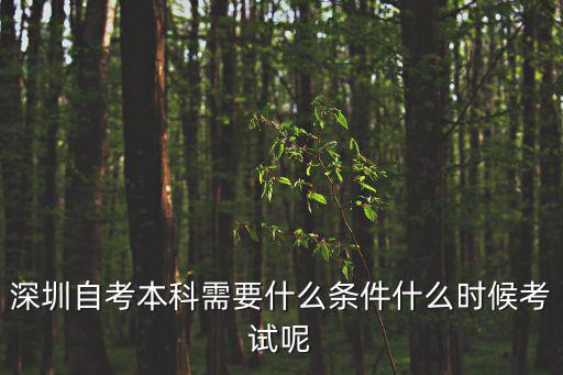深圳自考本科需要什么條件什么時候考試呢