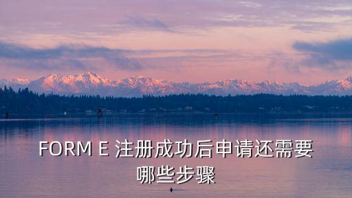 FORM E 注冊成功后申請還需要哪些步驟