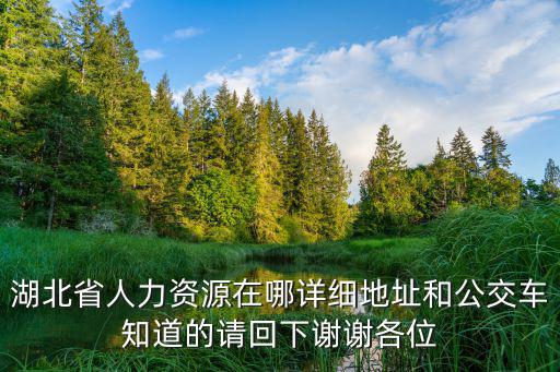 湖北省人力資源在哪詳細地址和公交車知道的請回下謝謝各位