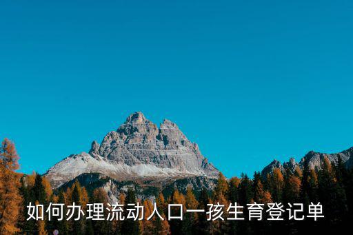 如何辦理流動人口一孩生育登記單