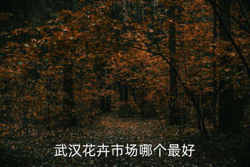 武漢花卉市場哪個最好