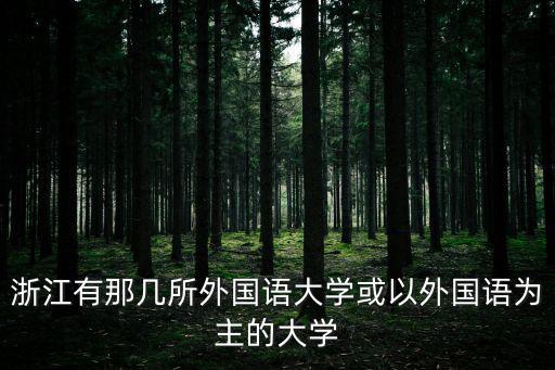 浙江外國語大學，浙江有那幾所外國語大學或以外國語為主的大學