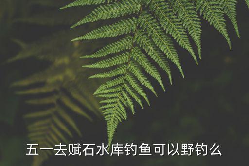 賦石水庫，五一去賦石水庫釣魚可以野釣么
