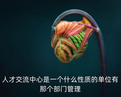 人才交流中心是一個什么性質的單位有那個部門管理