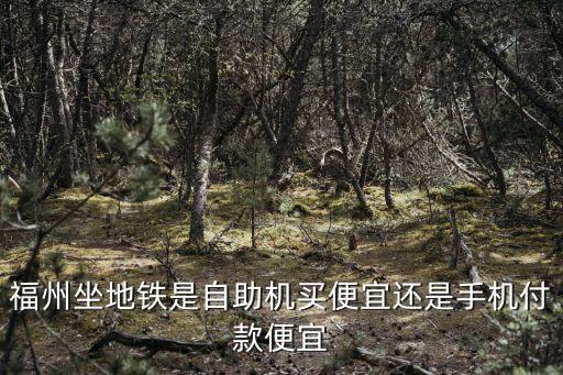 福州坐地鐵是自助機買便宜還是手機付款便宜
