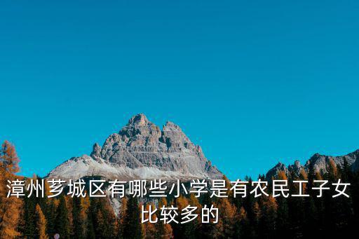 金峰小學，漳州薌城區有哪些小學是有農民工子女比較多的
