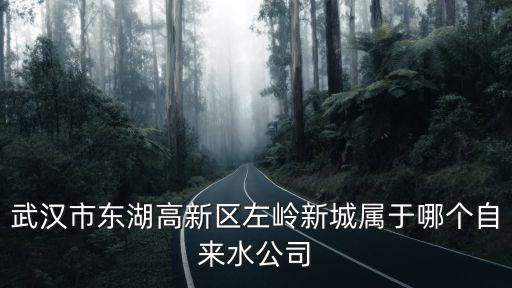 武漢市東湖高新區左嶺新城屬于哪個自來水公司