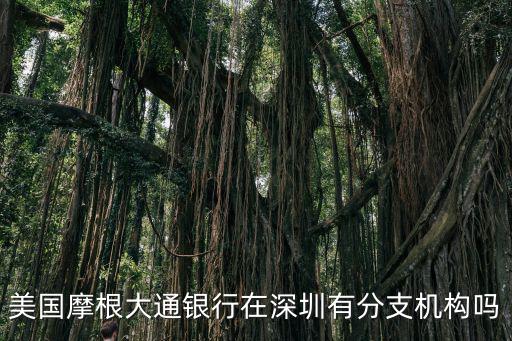 美國摩根大通銀行在深圳有分支機構嗎