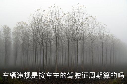 車輛違規，關于車輛違章扣分的問題
