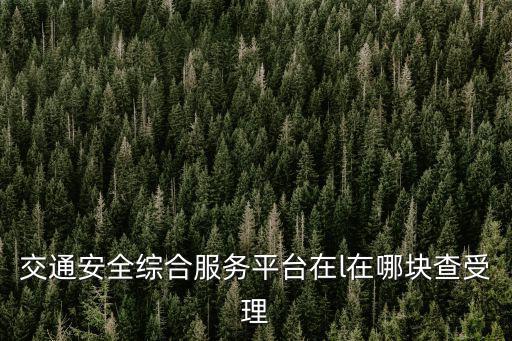 交通安全綜合服務平臺在l在哪塊查受理