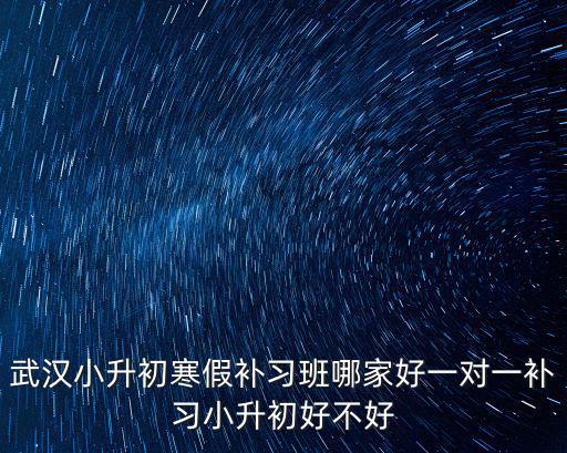 武漢小升初寒假補(bǔ)習(xí)班哪家好一對(duì)一補(bǔ)習(xí)小升初好不好