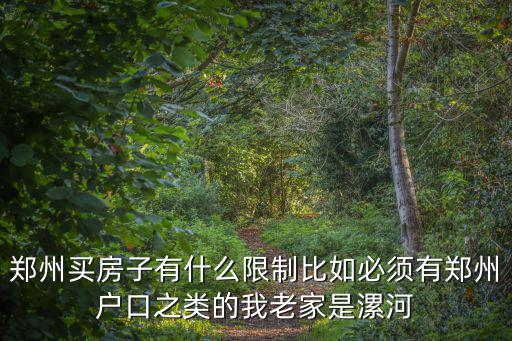 鄭州買房子有什么限制比如必須有鄭州戶口之類的我老家是漯河