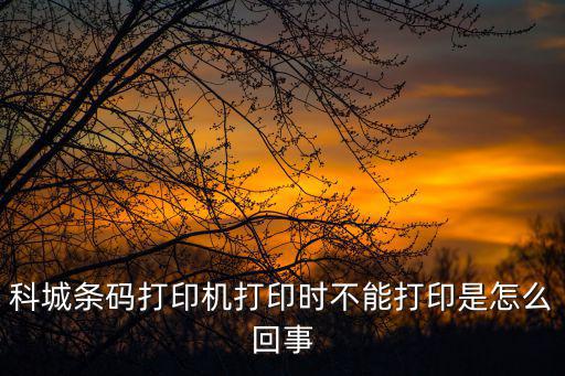 科城條碼打印機打印時不能打印是怎么回事
