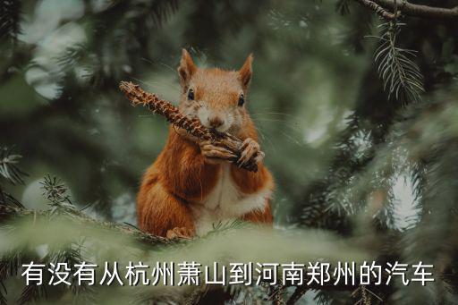 有沒有從杭州蕭山到河南鄭州的汽車