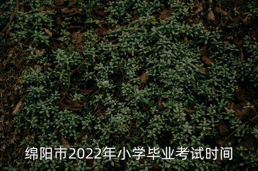 小學(xué)畢業(yè)考試，小學(xué)畢業(yè)考試考的是什么內(nèi)容呀從一年級(jí)到六年級(jí)好多內(nèi)容呀