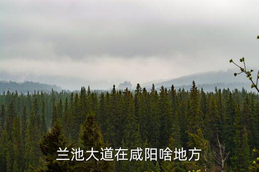 蘭池大道在咸陽啥地方