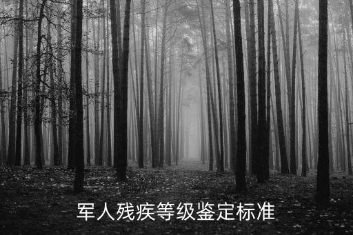 軍人評殘標(biāo)準(zhǔn)，軍人殘疾等級鑒定標(biāo)準(zhǔn)