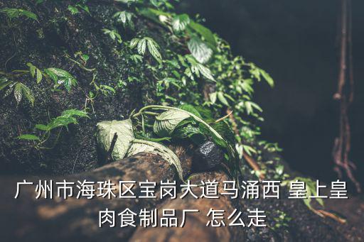 廣州市海珠區(qū)寶崗大道馬涌西 皇上皇肉食制品廠 怎么走