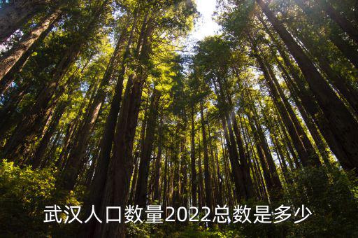 武漢人口數量2022總數是多少
